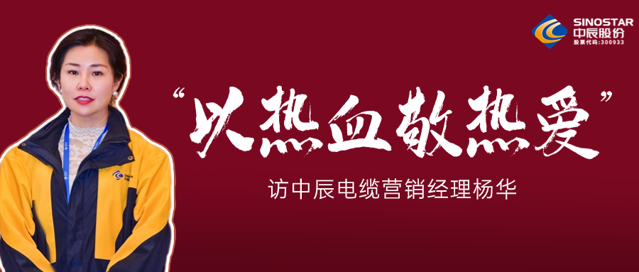 真正的酷爱，，，，，，铸就销售女王——访z6尊龙电缆营销经理杨华