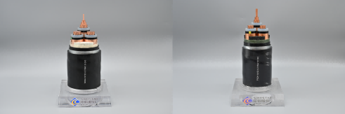 1782781452306536N9Pl.png WPS拼图0(1).png