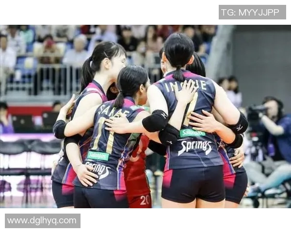 北京排球队防反战术革新探讨与未来发展展望