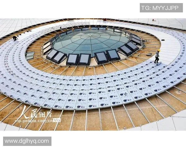 南京极限运动队实力分析与表现评估的全面数据研究