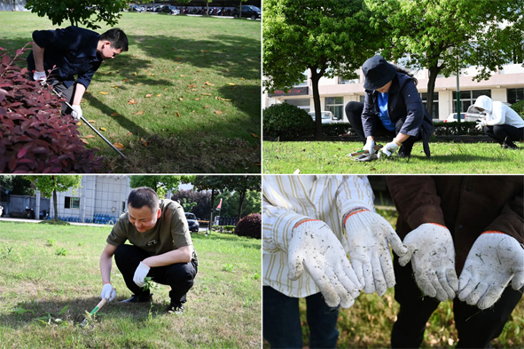 Z6·尊龙「中国」官方网站
