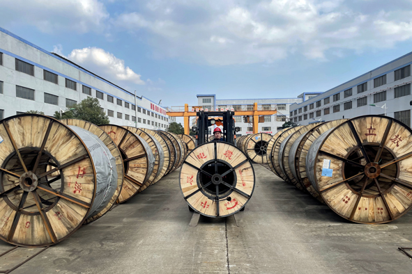 Z6·尊龙「中国」官方网站